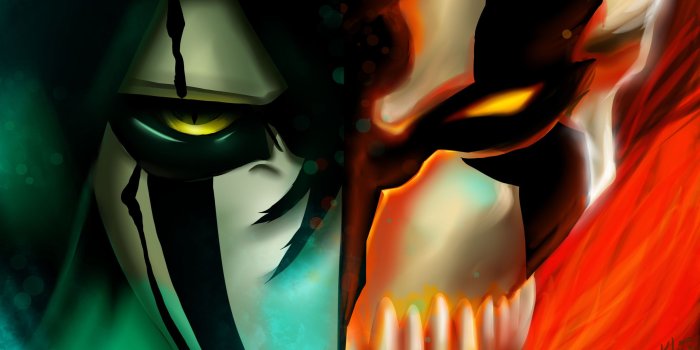 2429x1326 3069 Ichigo Kurosaki HD Wallpapers | Background Images