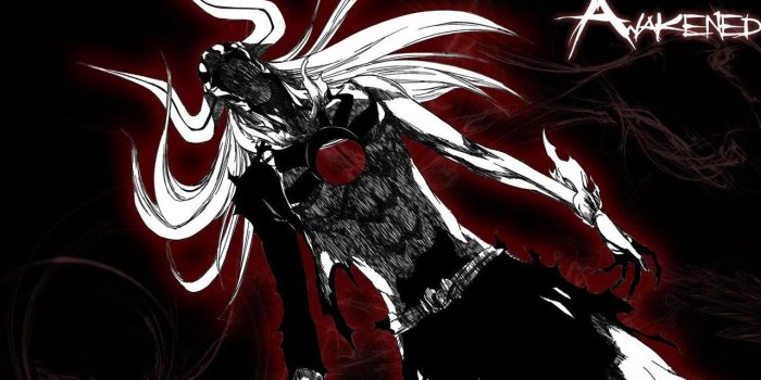 1280x1024 Download Bleach Hollow Ichigo Vastolorde Wallpapers 1600x1200