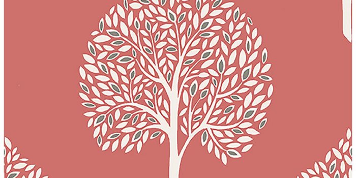 1000x1000 Grove Coral Tree Wallpaper