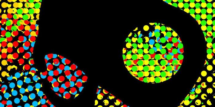 1080x1920 Colorful Skull iPhone Wallpaper HD