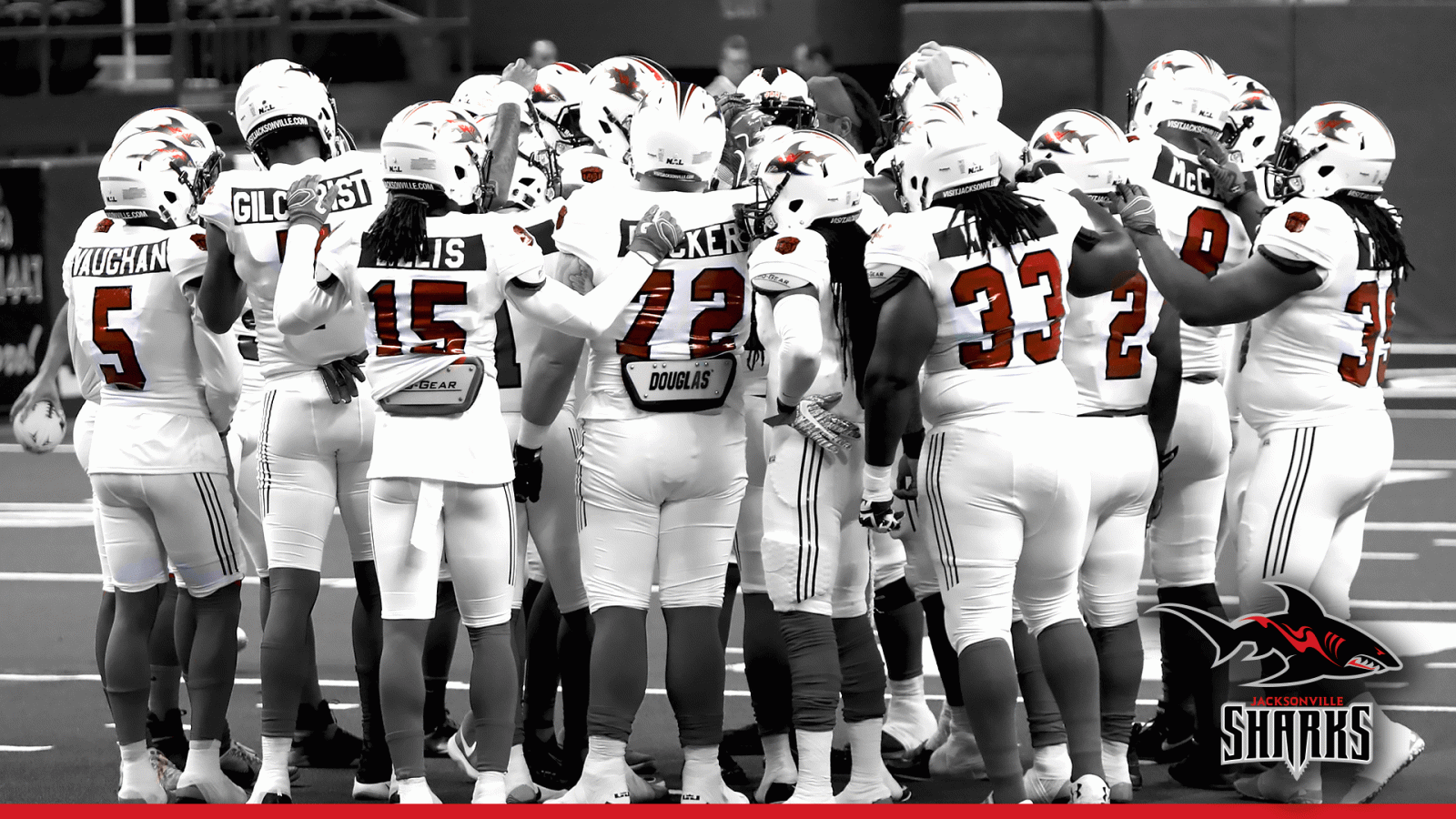1920x1080 Jacksonville Sharks: Wallpaper