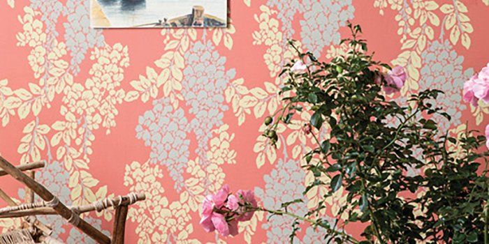 1600x1914 Living Coral