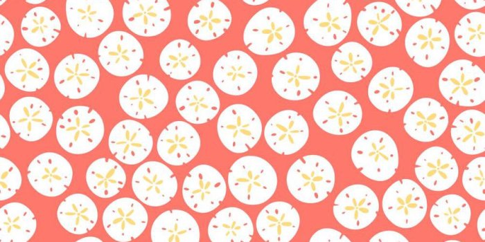 900x900 Inspired By Color Orange and Yellow Book Coral, Yellow and White