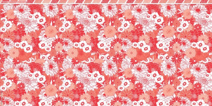 1440x800 Picture Suggestion For Coral Color Wallpaper 1440x800 (828.97 KB)