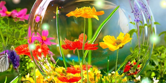 2048x2048 Nature Live Wallpapers For PC - Wallpaper Zone … | Live wallpapers