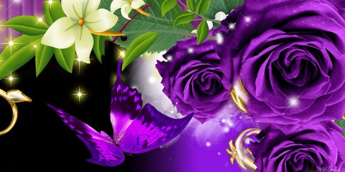 1920x1080 Top 10 Beautiful Flowers Live Wallpapers Apps for Android