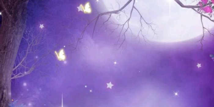 720x1280 Download Flowers Live Wallpaper Free Download (68+) - Free Wallpaper