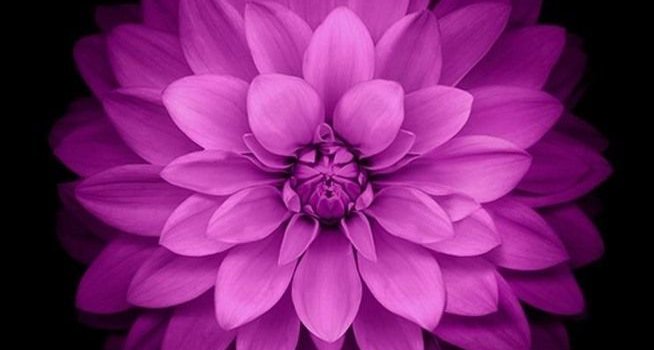 654x1225 IOS 8 Live Wallpaper, Gallery of 49 IOS 8 Live Backgrounds | iOS