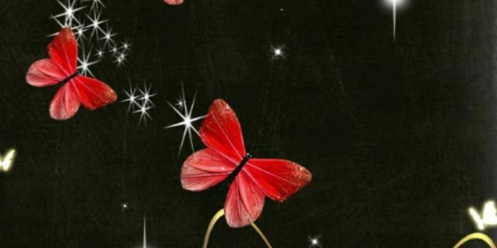 720x1280 Live Flower Wallpaper (105+ images in Collection) Page 2