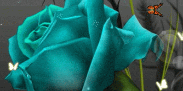 720x1280 Dreamy Flower Live Wallpaper Download, Hd Wallpapers & backgrounds