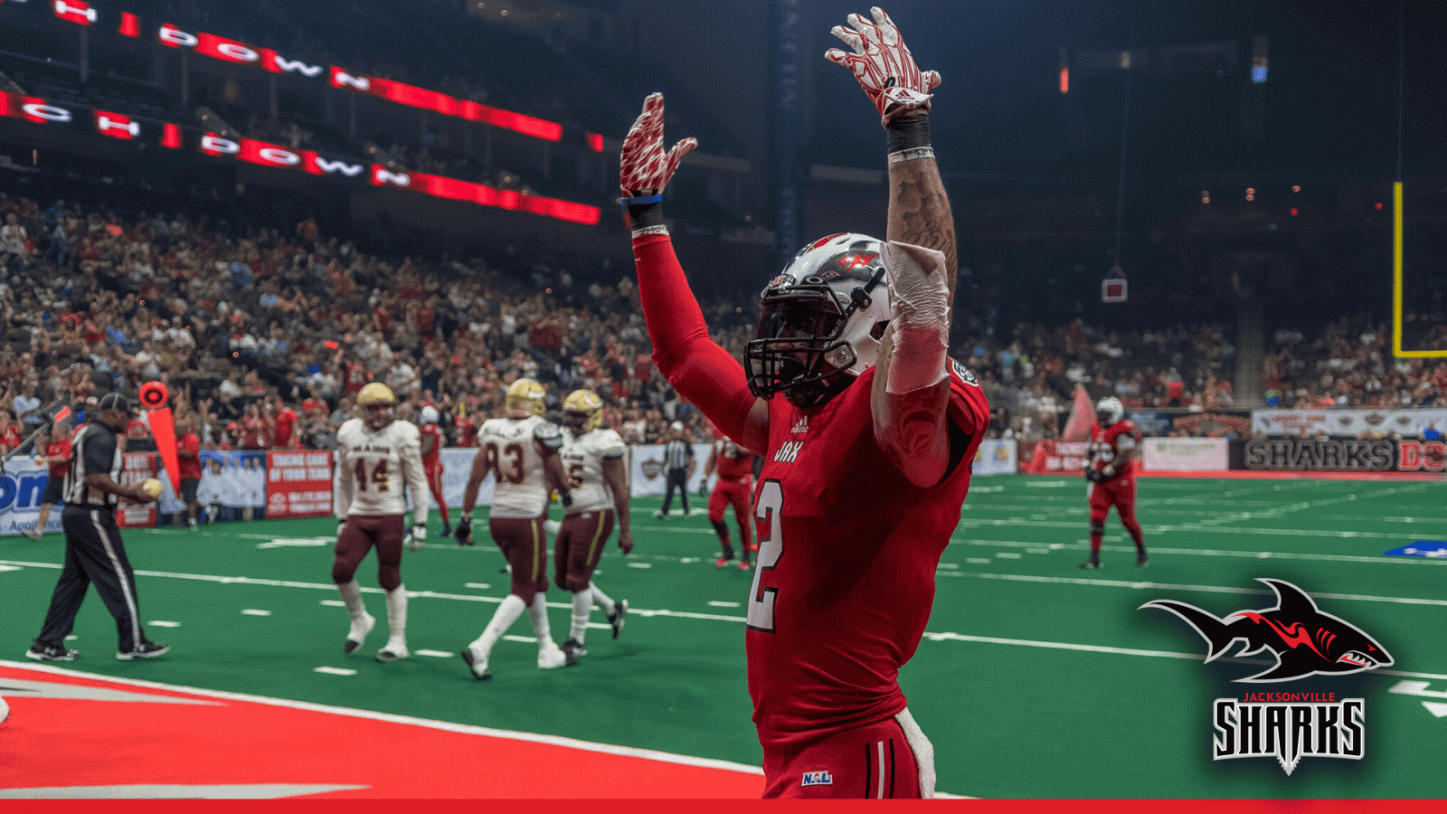 1920x1080 Jacksonville Sharks: Wallpaper