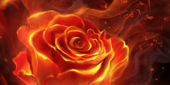 1080x1920 Fiery rose and butterfly! flame live wallpaper | Android live