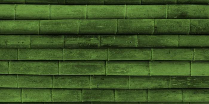 1080x1920 Green Phone Wallpapers - Top Free Green Phone Backgrounds