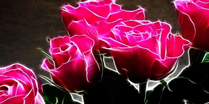 1920x1080 Rose Live Wallpaper Hd - Animated Wallpapers Of Roses (#59095) - HD