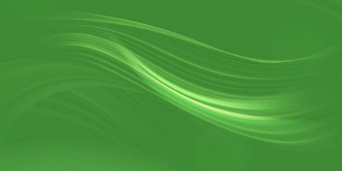 1080x1920 Green Colour HD Wallpapers For Android - 2019 Android Wallpapers