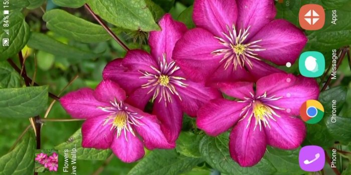 1280x720 Flowers Live Wallpaper