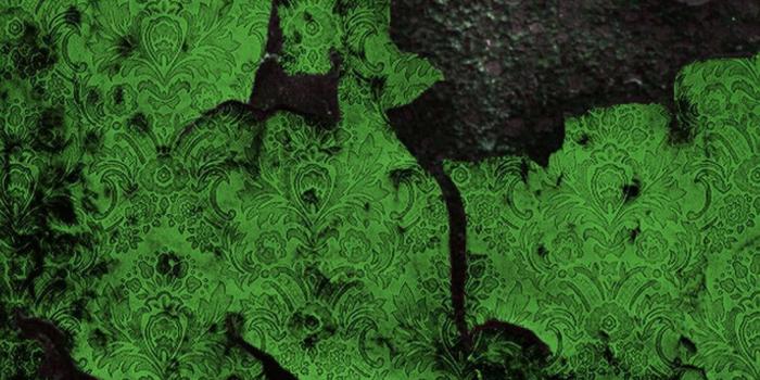 1080x1920 Green Phone Wallpapers - Top Free Green Phone Backgrounds