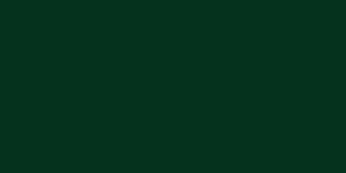 2160x3840 Dark Green Solid Color Background Wallpaper for Mobile Phone