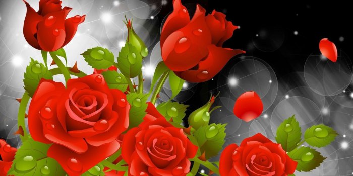 1920x1080 76+ Red Flowers Wallpapers on WallpaperPlay