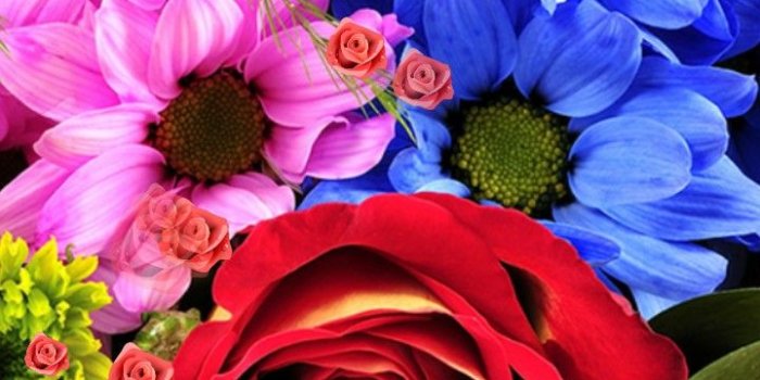 720x1280 3d Flower Live Wallpaper Free Wallpaper & Backgrounds