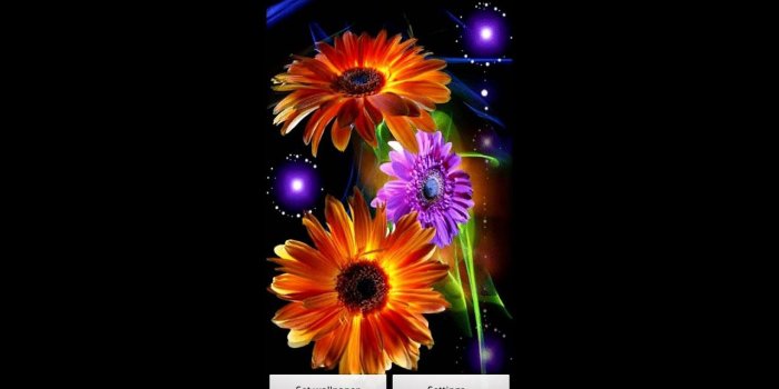 1280x720 Dancing Flowers Live Wallpaper Android Market