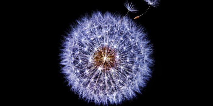 1200x800 Download: Samsung Galaxy S9 Wallpapers – Droid Life