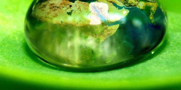 1080x1920 Hd Wallpaper For Mobile Free Download ✓ Labzada Wallpaper - Green