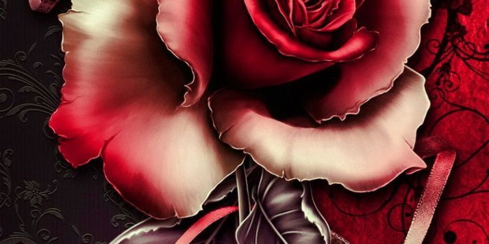736x1309 Download Flower Live Wallpaper Hd (47+) - Free Wallpaper For your