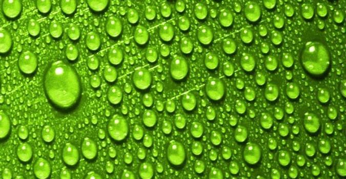 675x1200 Download Green Phone Wallpaper Gallery