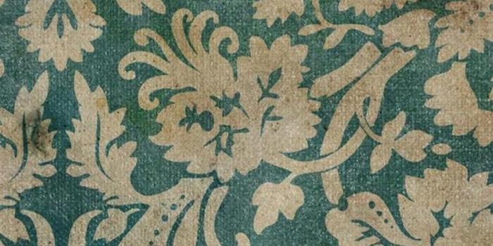 1024x1821 Green Phone Wallpaper (65+), Download 4K Wallpapers For Free