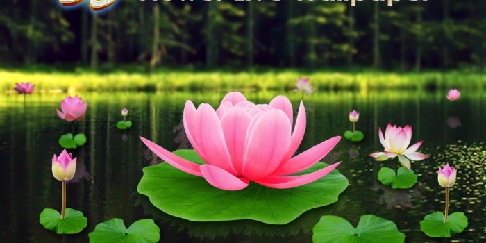 1350x900 Flower Live Wallpaper 3D 1.0 APK Download - Android Entertainment Apps