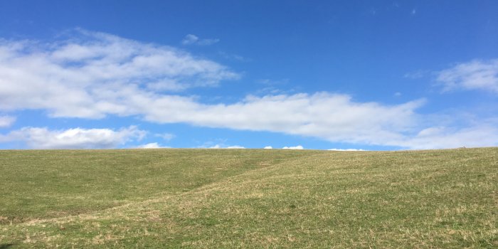 4032x3024 Went to a Winery with windows 95 wallpaper. - Album on Imgur