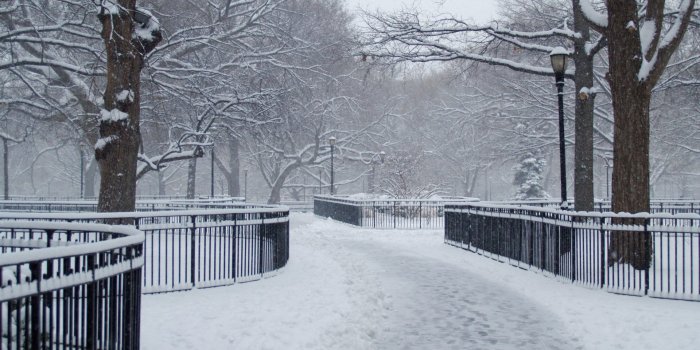1920x1080 winter-iron-crystals-snowscape-peaceful-cold-trees-path-streetlight