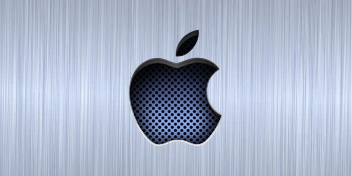 890x1590 Silver Apple Cool | wallpaper.sc iPhone6s