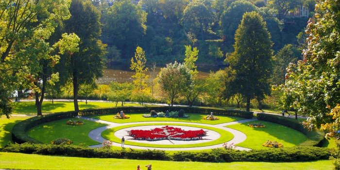 1332x850 Wallpaper Nature, Toronto, Summer, High Park images for desktop