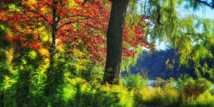 1920x1200 Fall Day in Toronto High Park widescreen wallpaper