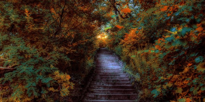 2048x1536 High Park, Toronto, Canada widescreen wallpaper