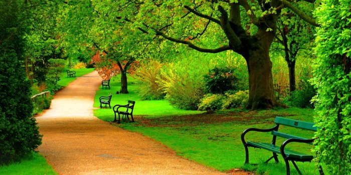 1440x900 55+ Park Wallpapers - Download at WallpaperBro