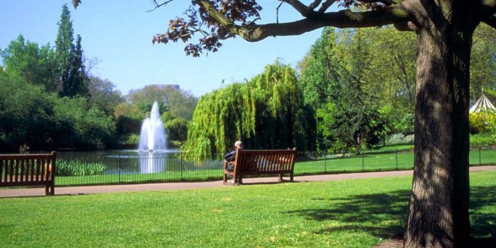 1440x900 Park Wallpapers