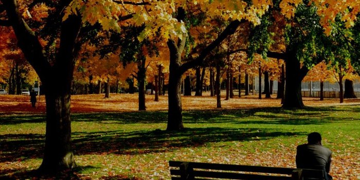 1024x768 Toronto's fabulous High Park on a glorious autumn day | Historic Toronto