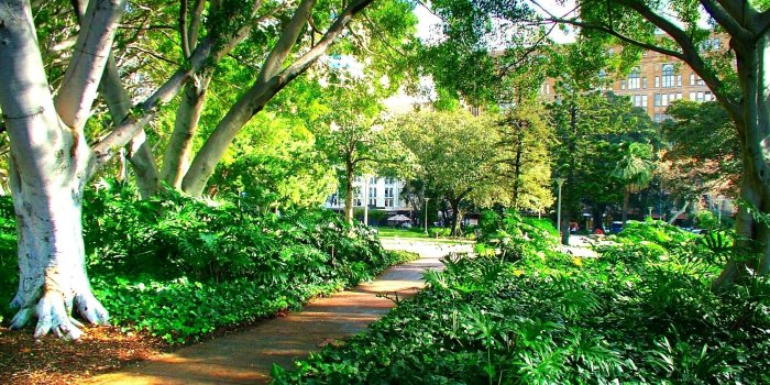 2848x2136 Forests: Hyde Park Pathway Green Tree Leaves Wallpapers for HD 16:9