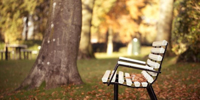 1600x1200 Park Bench wallpaper | 1600x1200 | #81520