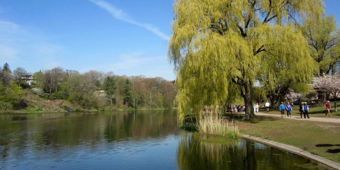 1024x768 Toronto: High Park Grenadier Pond | High Park's Grenadier Po…