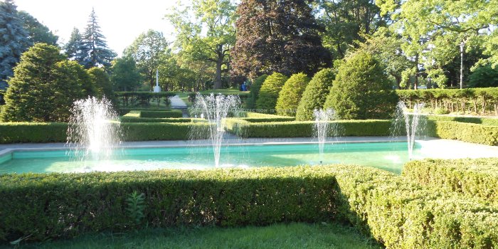 4608x3456 hedge grove at high park fountains toronto