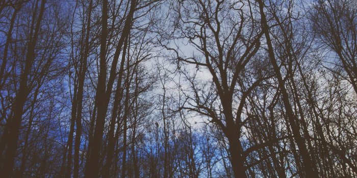 1280x960 alternative, canada, cloud, high park, hipster, indie, love, nature