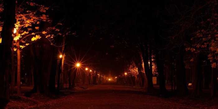 2560x1600 Park At Night ❤ 4K HD Desktop Wallpaper for 4K Ultra HD TV • Dual