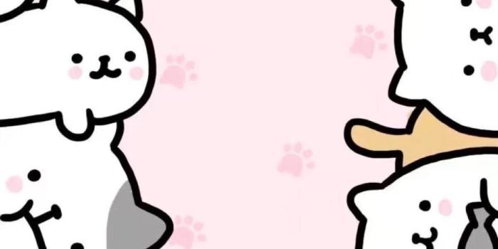 1200x2133 61+ Kawaii Cat Wallpapers on WallpaperPlay