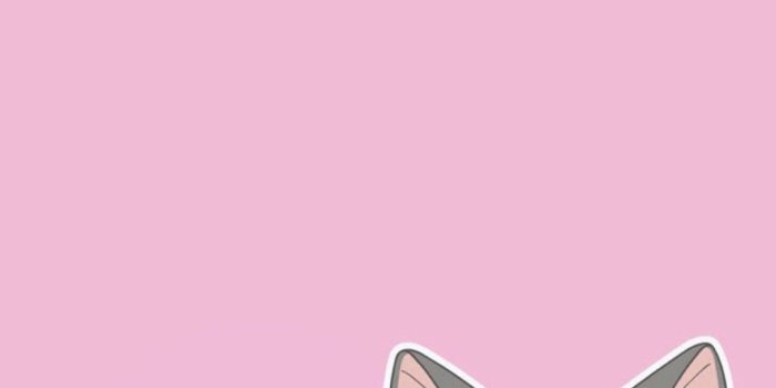1082x1920 Kawaii Cat Wallpapers