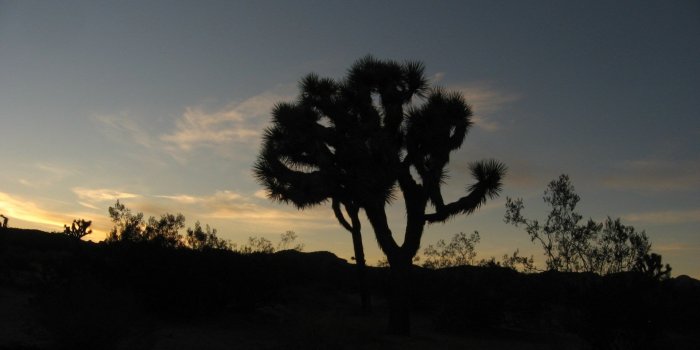 1920x1080 Joshua Tree National Park Wallpapers