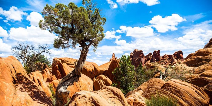 1920x1200 2602282 1920x1200 national park desktop wallpaper high resolution